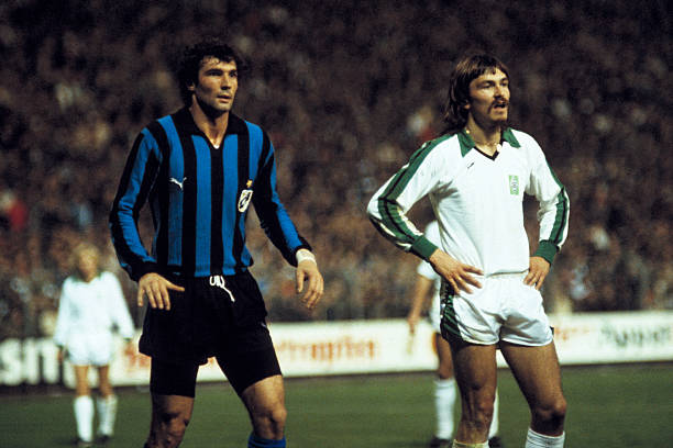 也温暖了世 也温暖了世