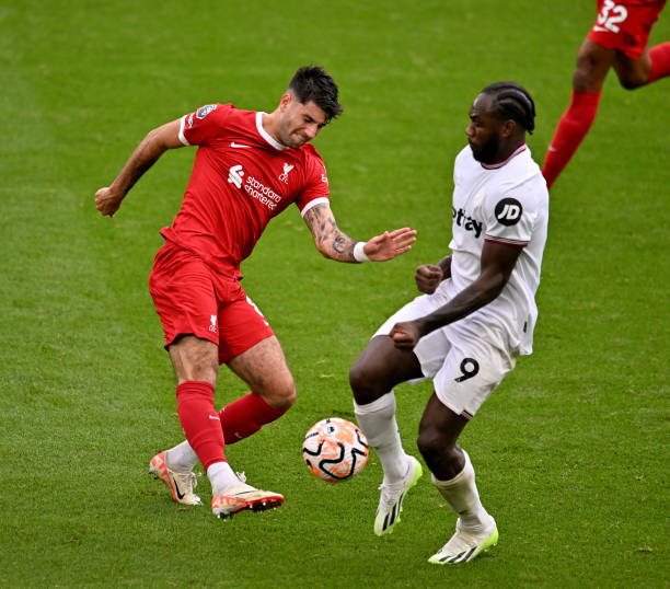 青海湖中的 青海湖中的