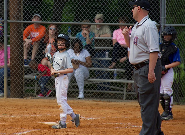 展示實力的 展示實力的