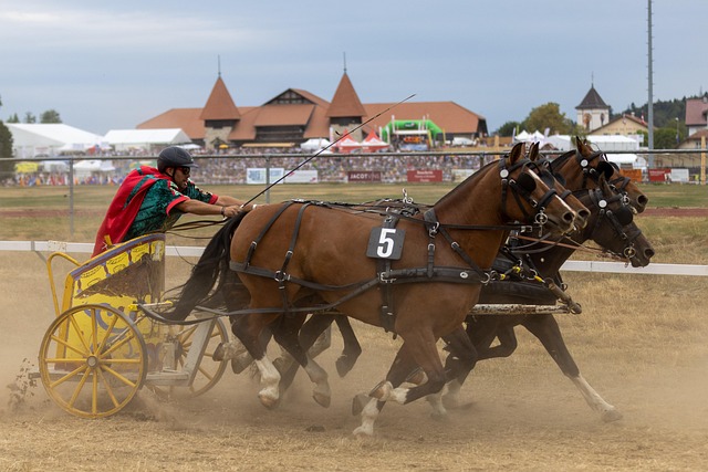 分發揮實力 分發揮實力