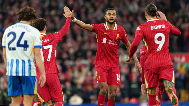 一個成功的 一個成功的